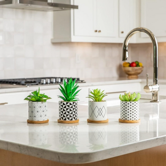 4 Pack -Geometric Patterns Ceramic Small Pots for Baby Plants, Cactus, Herbs SowanyEssentialHome